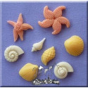 Moule Coquillages et étoiles de mer en silicone
