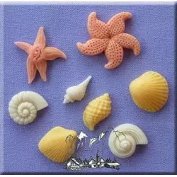 Shells and starfish mold