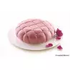 Mold cooking cushion 3D silicone and 25 cm