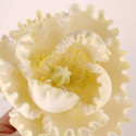 Special edible glue Flowers 60ml