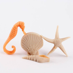 Hippocampus and shell mold