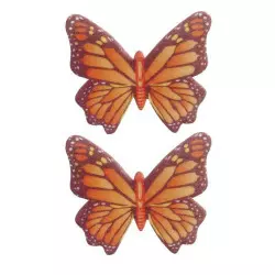 8 Papillons en Azyme Coloris Assortis