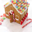 Home Gingerbread Cutters Kit
