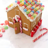 Kit cutter for House gingerbread