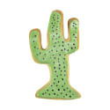 Cactus cutting 7.5 cm