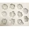 Mould in silicone flowers described