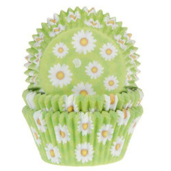 Set of 50 boxes to daisies flowers