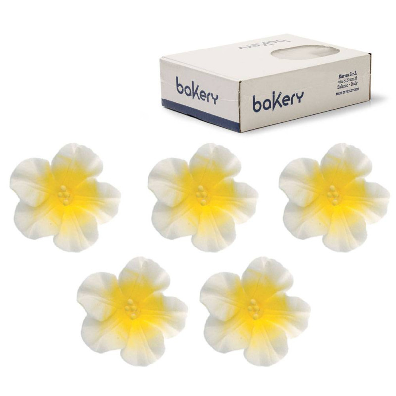 12 flores de AZALEE en azúcar blanco y amarillo