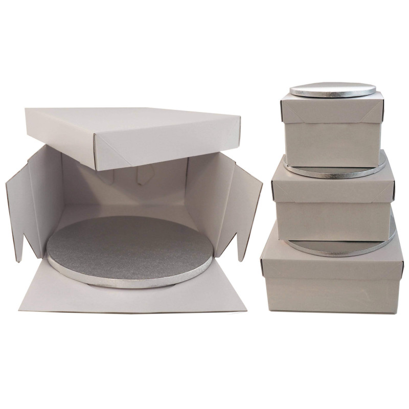 LARRYROO Boîte à Gâteau Rectangulaire Rectangulaire Blanche