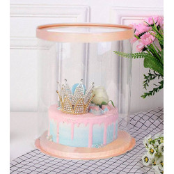 Expo Cake Box Pink (30x30x40cm)