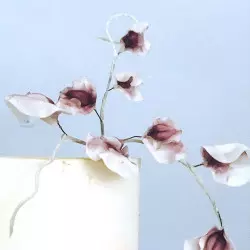 Set of 3 flower cutter Orchid