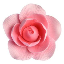 Fleur camélia rose en sucre 6 cm