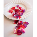 Pétales de rose comestibles rouge et violet