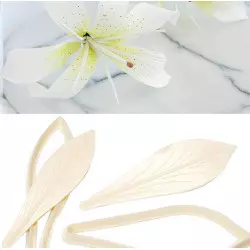 Découpoir et veineur pour fleur de LYS - EXOTIC LILY FMM