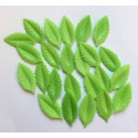 24 feuilles vertes en papier azyme