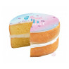 Sugar dough roll for Tropical Theme cake 150g