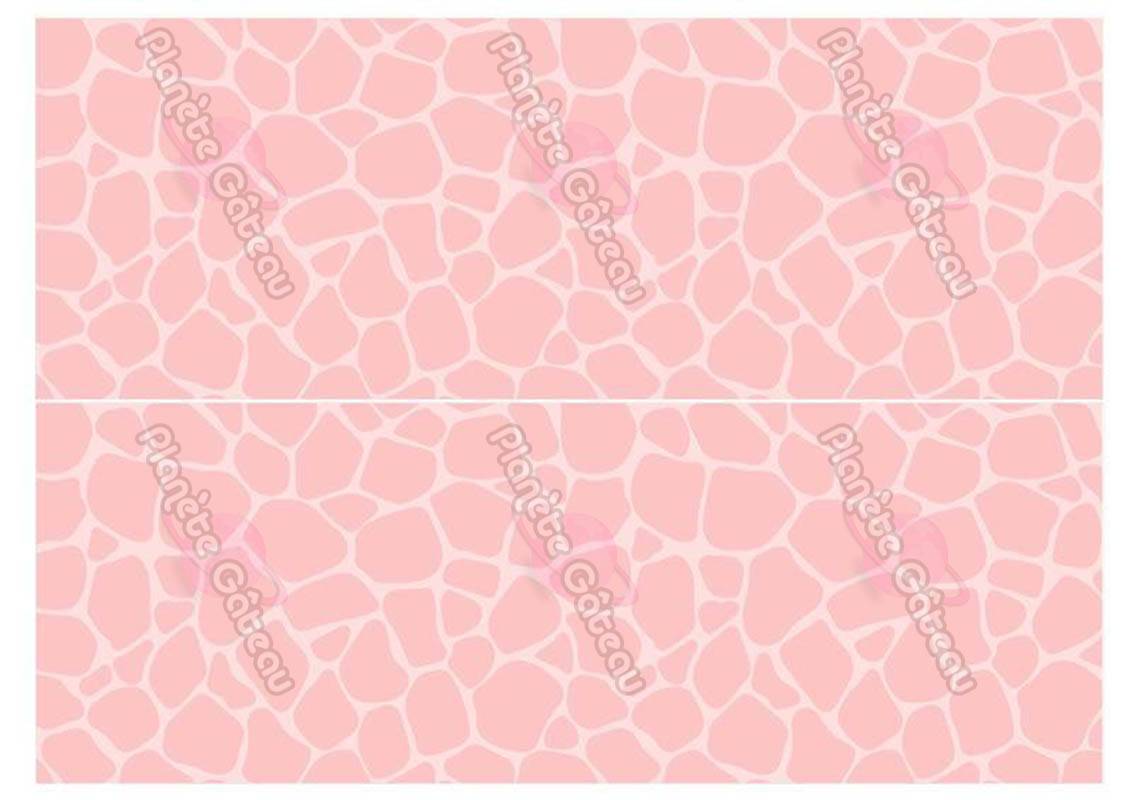 Sugar Cake Outline With Pink Giraffe Decoration Planete Gateau