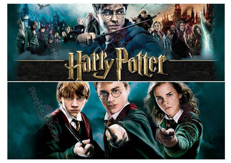 Contour De Gateau Harry Potter En Sucre Planete Gateau