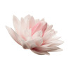 Fleur Dahlia en azyme 12,5 cm