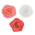 Fleurs Roses blanches, rose et rouge en azyme 4,5 cm x36