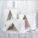 Square cake box with triangle opening