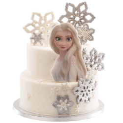 Décoration de gâteau La reine des neiges Elsa 14,8 x21 cm