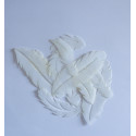 Plumes blanches en wafer paper assorties x20