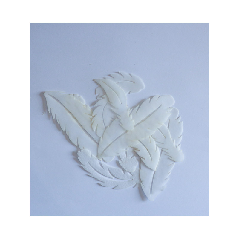 Plumes blanches en wafer paper assorties - x20