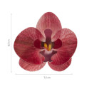 Flores de orquídeas sin levadura burdeos x10