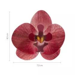 Fleurs en azyme orchidées bordeaux x10