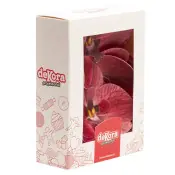 Fleurs Comestibles Blanches En Azyme Dekora 4,5 Cm - Lot De 12 - Sans Gluten, Végétarien - Décoration Gâteaux Mariage & Anniversaire