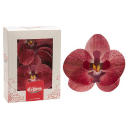 Fleurs en azyme orchidées bordeaux x10