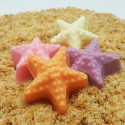 Starfish chocolate mold kit x6 cavities