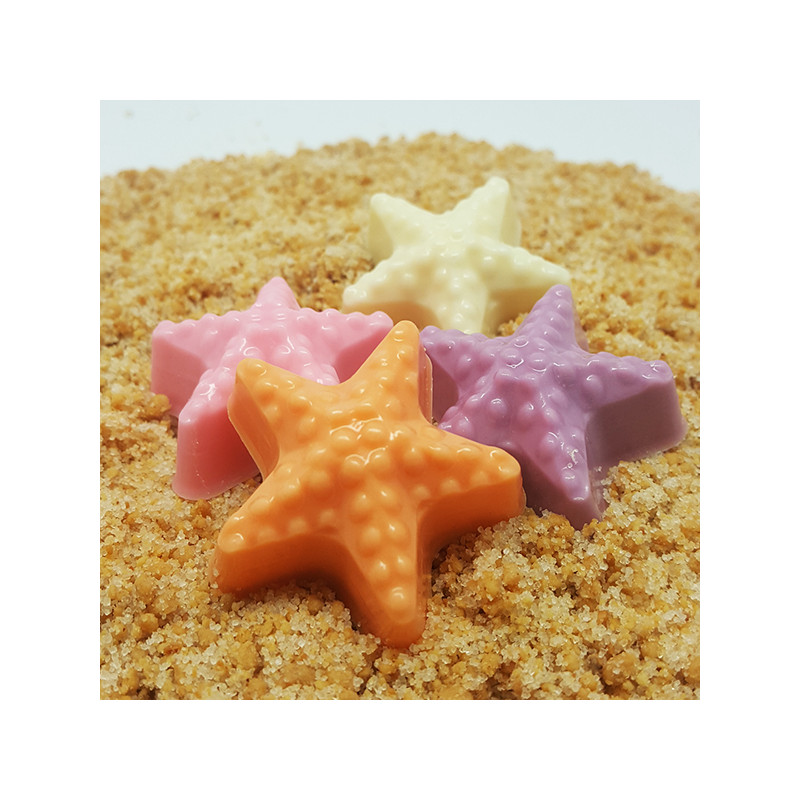 Kit de molde de chocolate de estrella de mar x6 cavidades