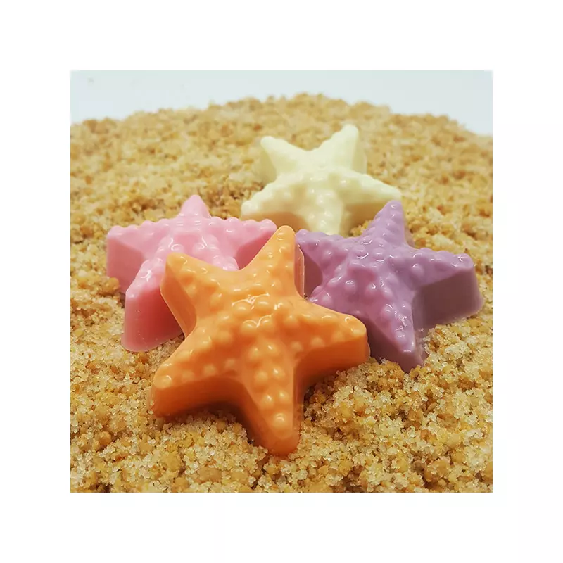 Kit moule chocolat étoiles de mer x6 cavités