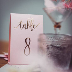 Marque tables rose poudrées et or x 10