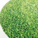 Thick round tray printed with grass pattern 25 cm