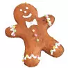 Gingerbread Cake Kit with mold, piping bag and sugar decorations