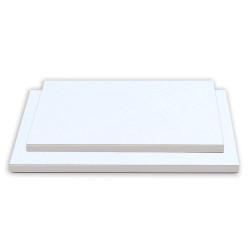 Thick white rectangular trays