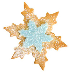 Snowflake cookie cutters PME x2 sizes