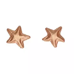 Gold bronze sugar paste stars Funcakes x24