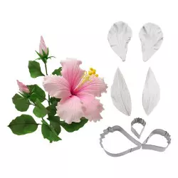 Kit de cortadores y veteadores de flores de hibisco