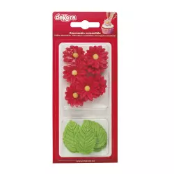 Red daisy flowers in sugar and green leaves