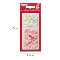 Pink and white daisy flowers in sugar