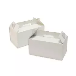 Picnic box with handle 20x12x10 cm