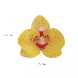 Fleurs en azyme orchidées jaunes x10