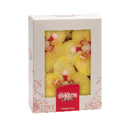 Yellow orchid unleavened flowers x10