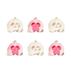 White and pink sugar orchid flowers x6