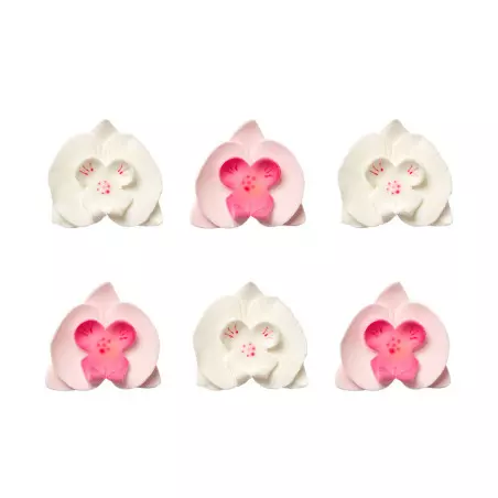 White and pink sugar orchid flowers x6