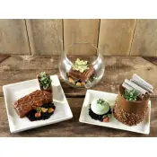 Moule En Silicone Fleurs Et Bourgeons De Succulentes Ud83euddc1 Planu00e8te Gateau